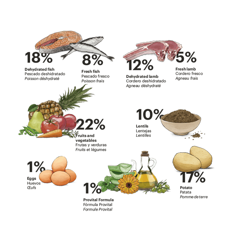 Exclusive Grain Free Dog Adult Maxi Fish with Lamb Exclusive Grain Free Dog Adult Maxi Fish with Lamb